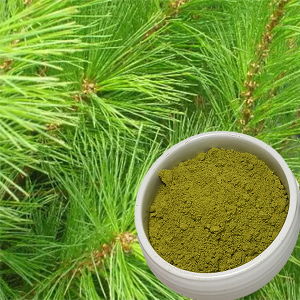 혈액순환 및 감기예방엔 태평 솔잎가루 230g